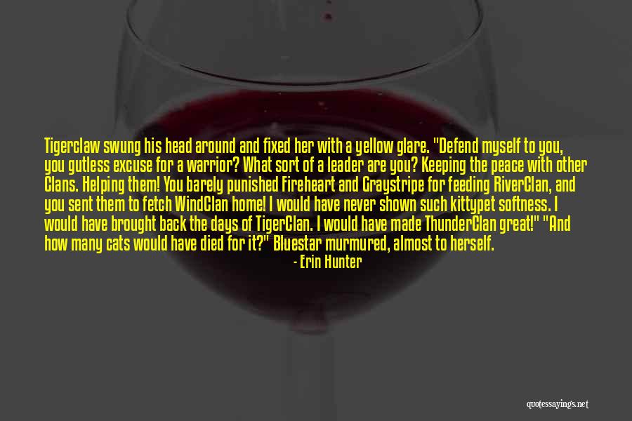 Graystripe And Fireheart Quotes By Erin Hunter Graystripe And Fireheart Quotes By Erin Hunter