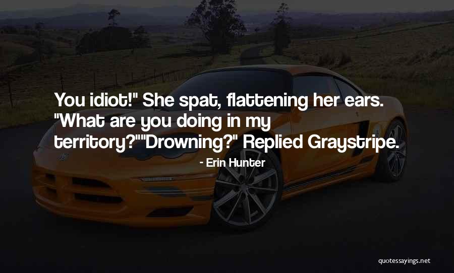 Graystripe X Quotes By Erin Hunter Graystripe X Quotes By Erin Hunter
