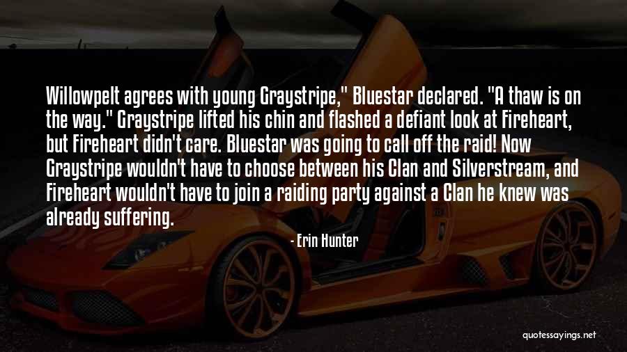 Graystripe X Quotes By Erin Hunter Graystripe X Quotes By Erin Hunter