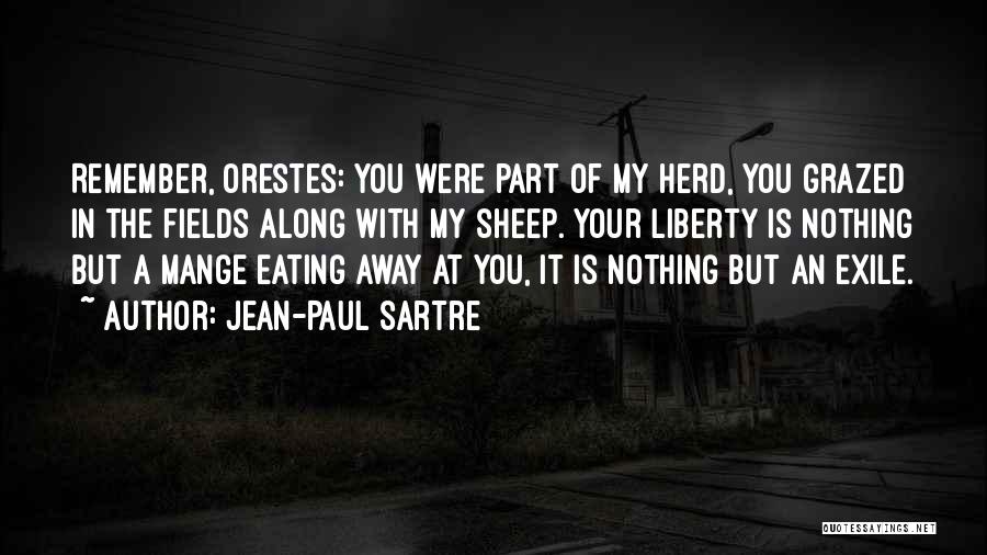 Grazed Quotes By Jean-Paul Sartre