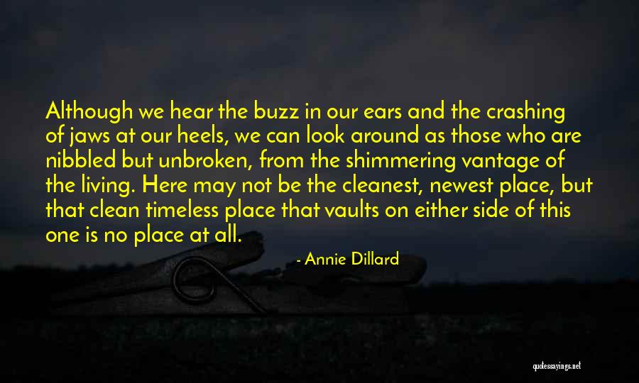 Graziadei Michael Quotes By Annie Dillard Graziadei Michael Quotes By Annie Dillard