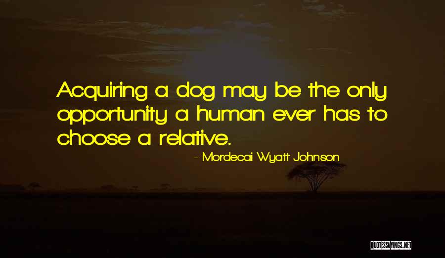Grazianis Grill Quotes By Mordecai Wyatt Johnson Grazianis Grill Quotes By Mordecai Wyatt Johnson