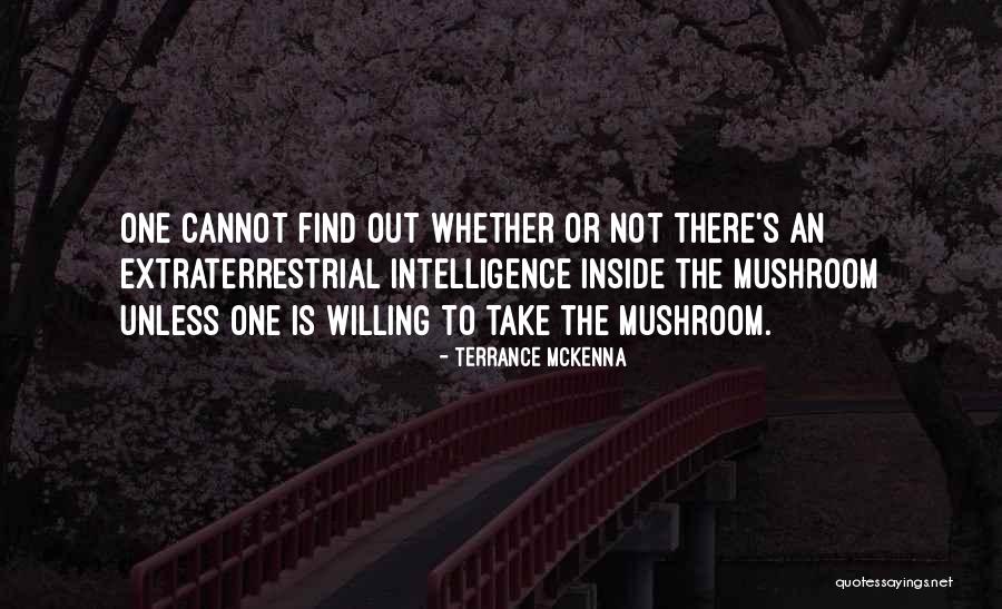 Graziers Cheese Quotes By Terrance McKenna Graziers Cheese Quotes By Terrance McKenna