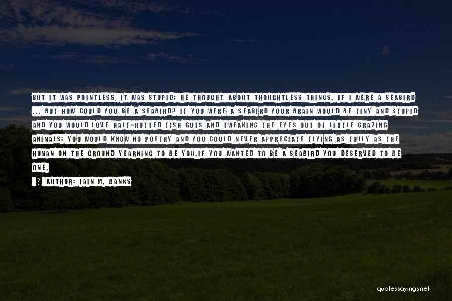 Grazing Cow Quotes By Iain M. Banks