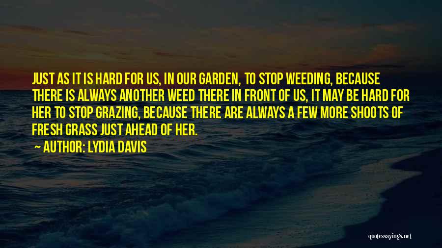 Grazing Quotes By Lydia Davis