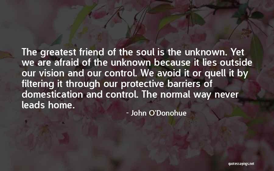 Graziskiai Quotes By John O'Donohue Graziskiai Quotes By John O'Donohue