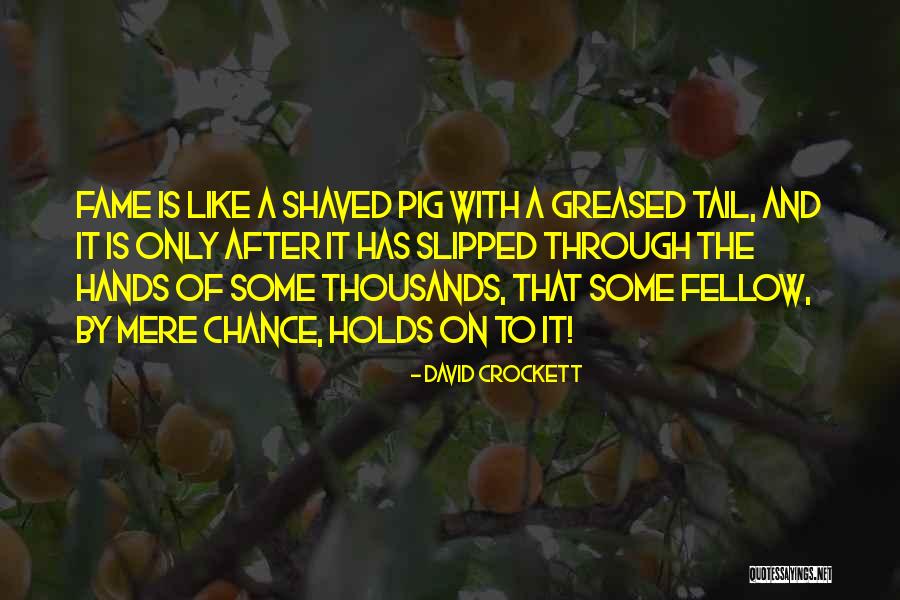 Greased Pig Quotes By David Crockett Greased Pig Quotes By David Crockett