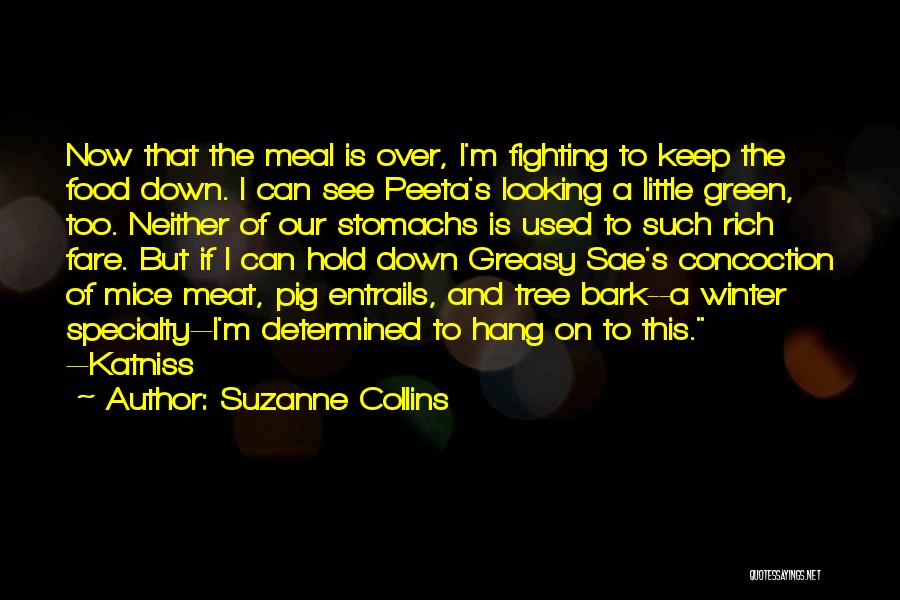 Greasy Food Quotes By Suzanne Collins