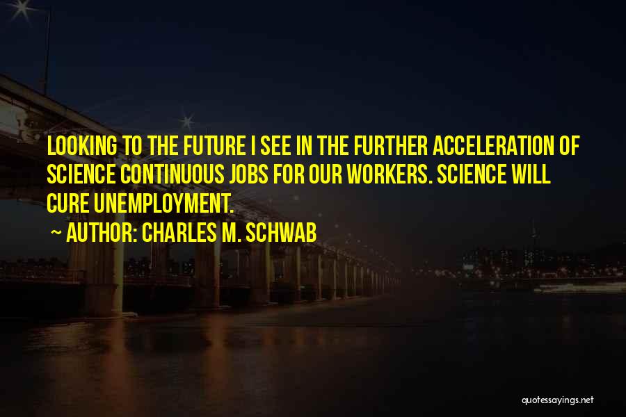 Great Acceleration Quotes By Charles M. Schwab