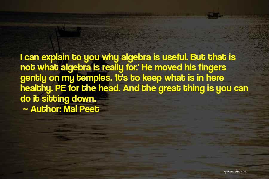 Great Algebra Quotes By Mal Peet