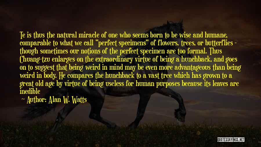Great And Wise Quotes By Alan W. Watts