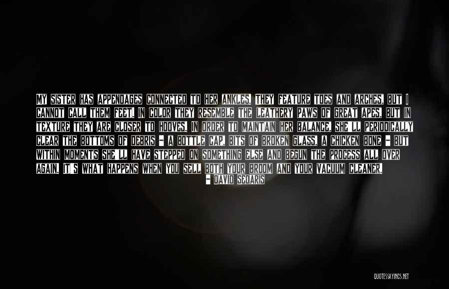 Great Apes Quotes By David Sedaris Great Apes Quotes By David Sedaris