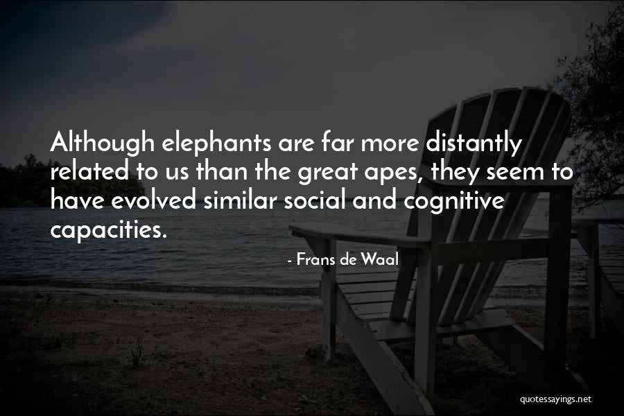 Great Apes Quotes By Frans De Waal