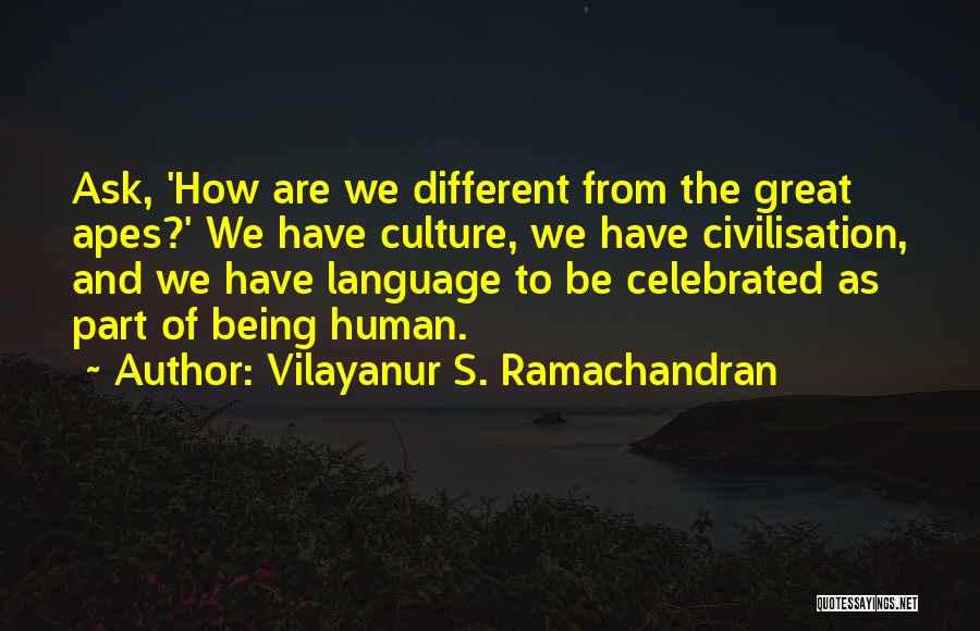 Great Apes Quotes By Vilayanur S. Ramachandran