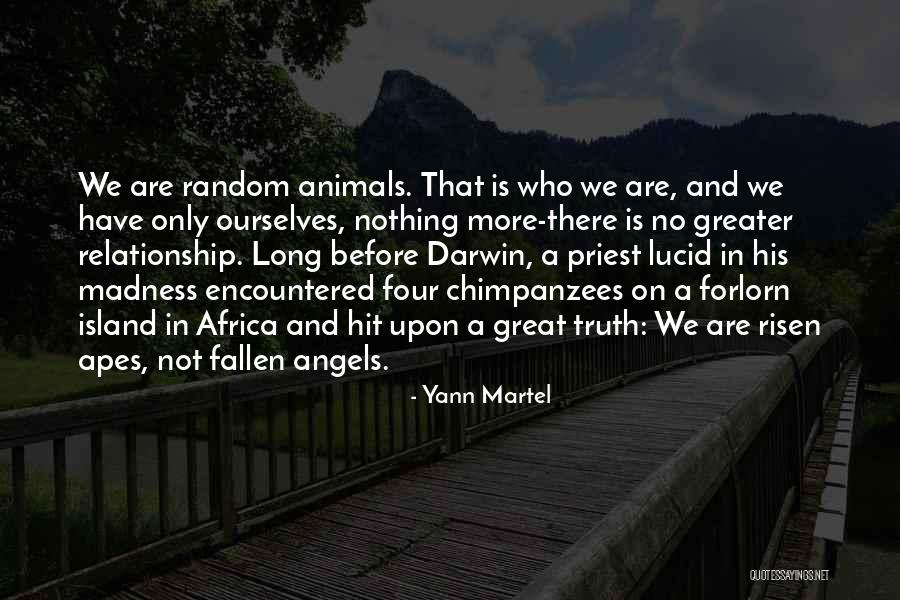 Great Apes Quotes By Yann Martel Great Apes Quotes By Yann Martel