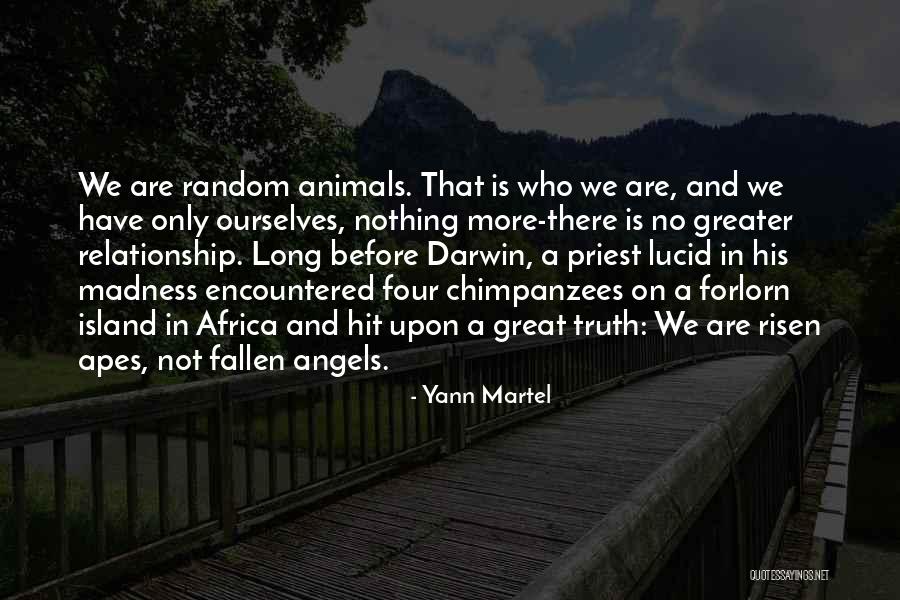 Great Apes Quotes By Yann Martel