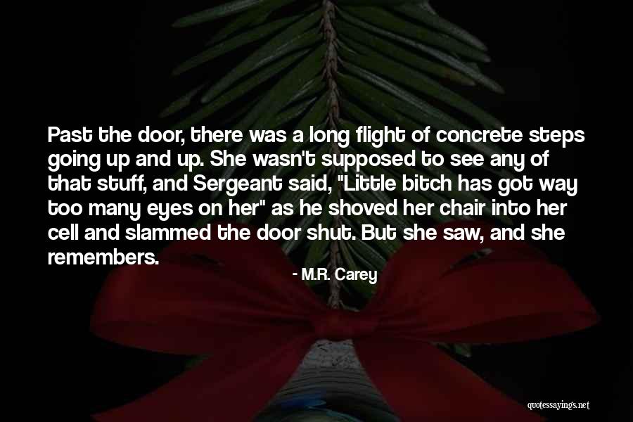 Great Atc Quotes By M.R. Carey Great Atc Quotes By M.R. Carey