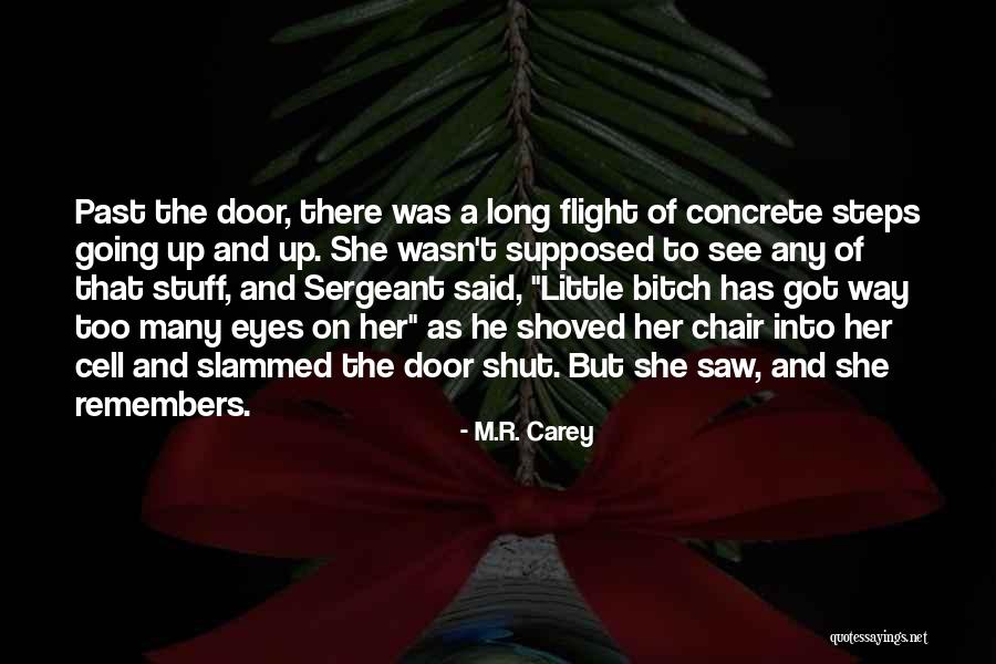 Great Atc Quotes By M.R. Carey