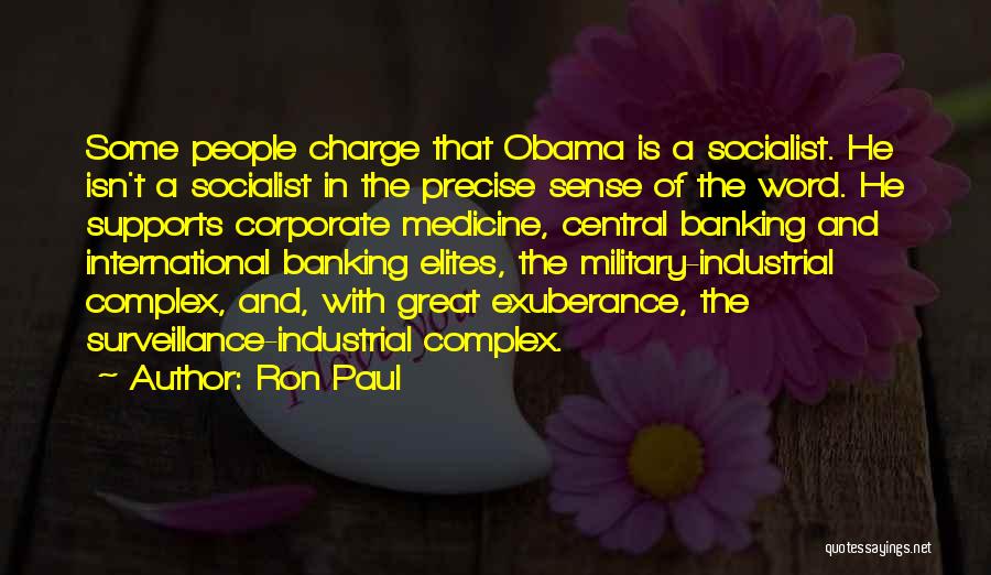 Great Banking Quotes By Ron Paul