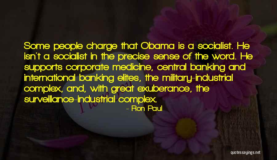 Great Banking Quotes By Ron Paul