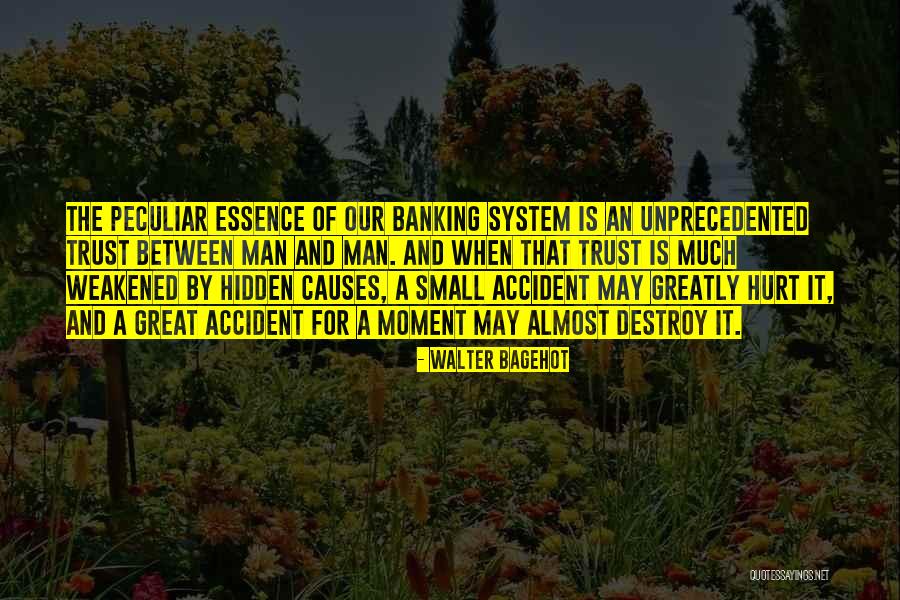 Great Banking Quotes By Walter Bagehot