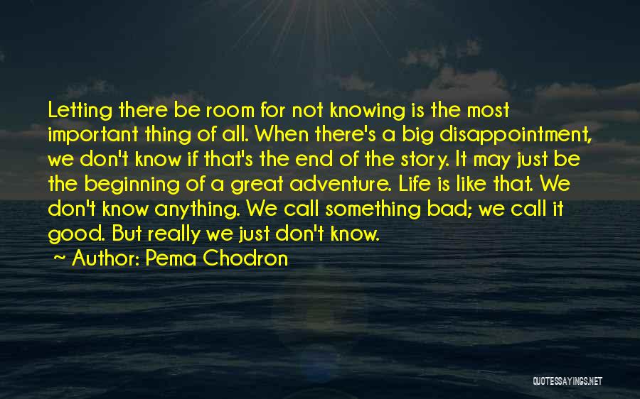 Great Beginnings Quotes By Pema Chodron