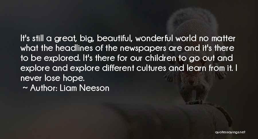 Great Big World Quotes By Liam Neeson