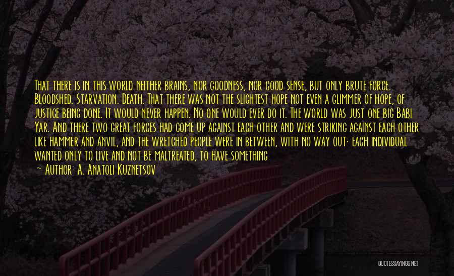 Great Brains Quotes By A. Anatoli Kuznetsov