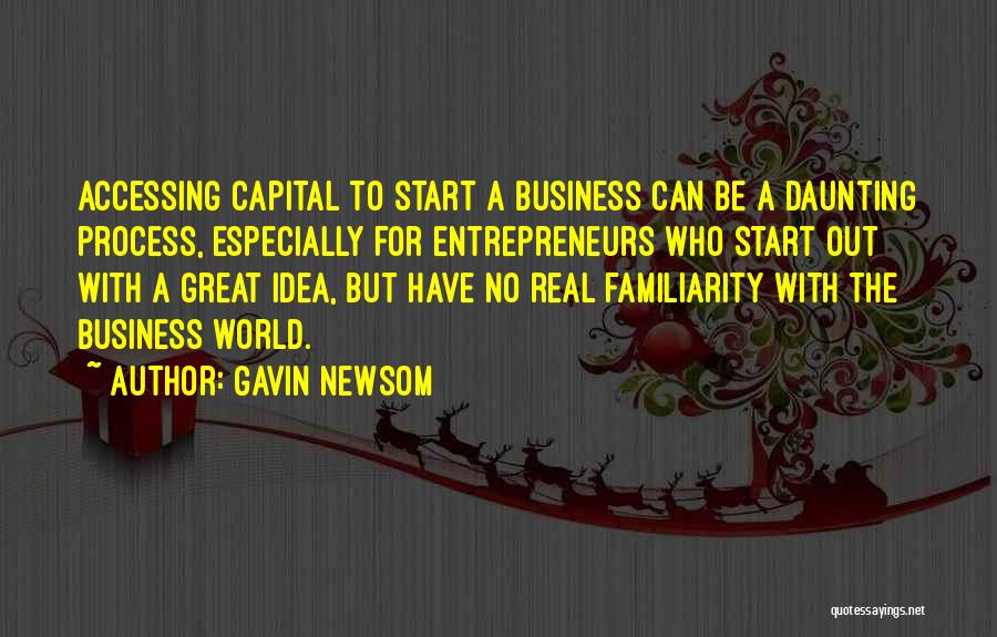 Great Business Idea Quotes By Gavin Newsom
