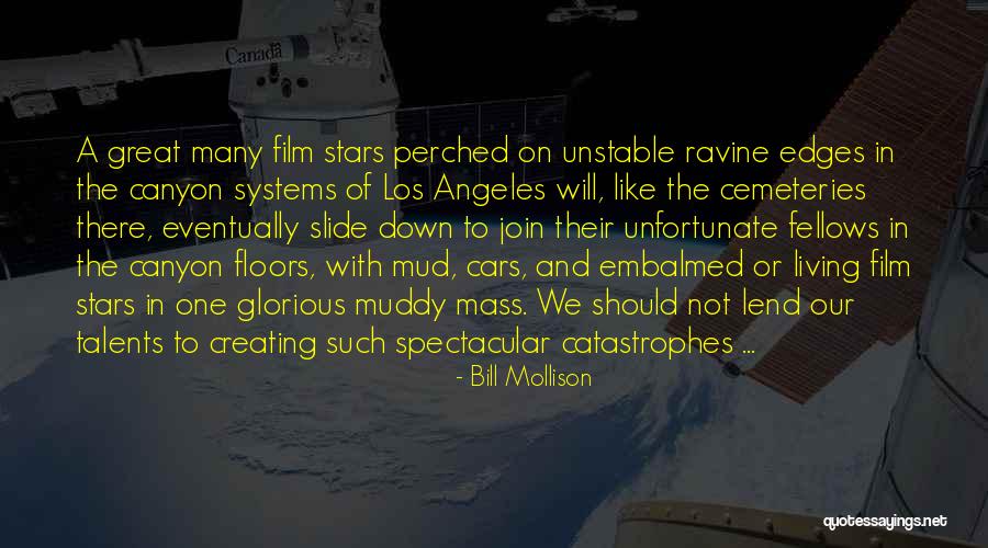 Great Car Quotes By Bill Mollison Great Car Quotes By Bill Mollison