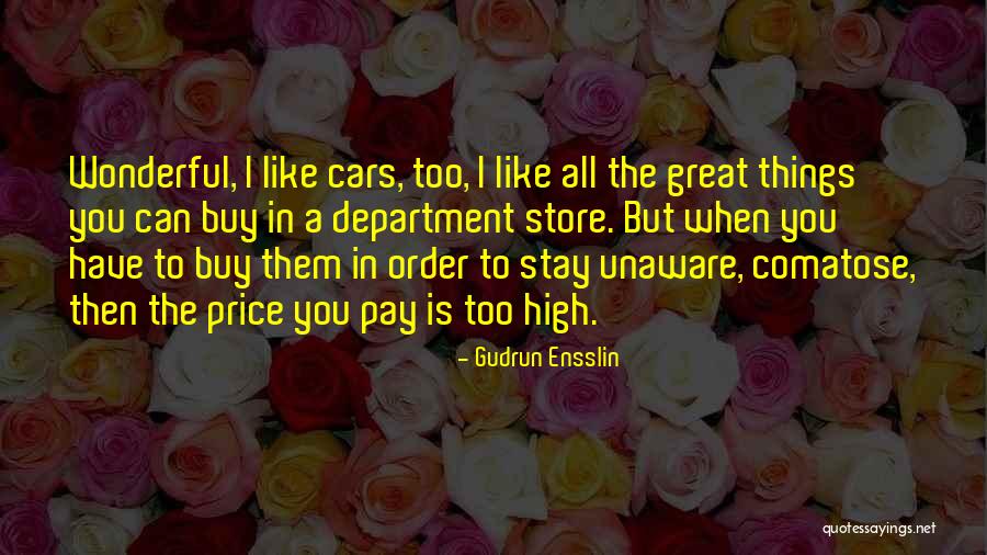 Great Car Quotes By Gudrun Ensslin