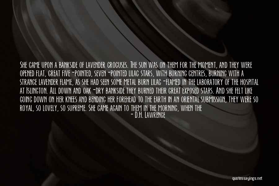 Great Cat Quotes By D.H. Lawrence Great Cat Quotes By D.H. Lawrence