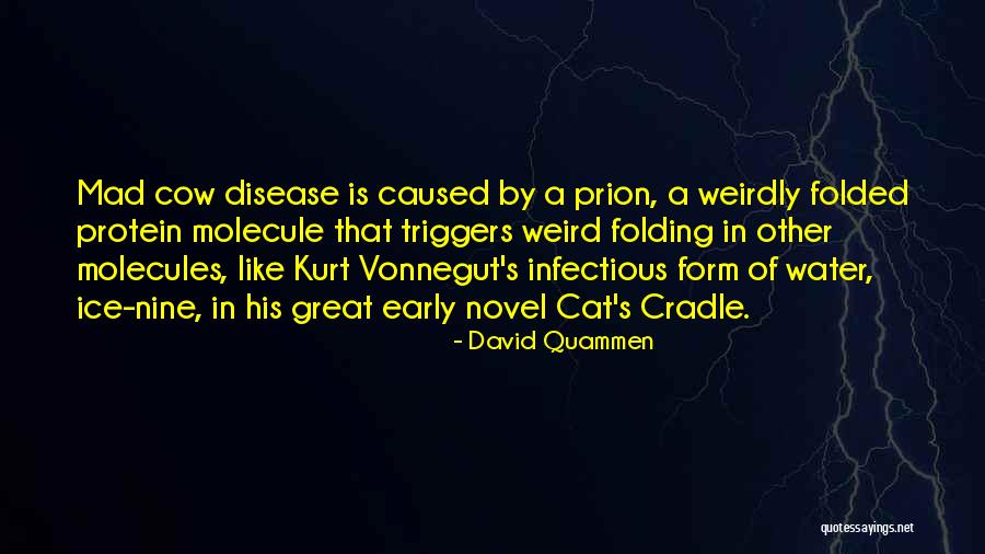 Great Cat Quotes By David Quammen Great Cat Quotes By David Quammen