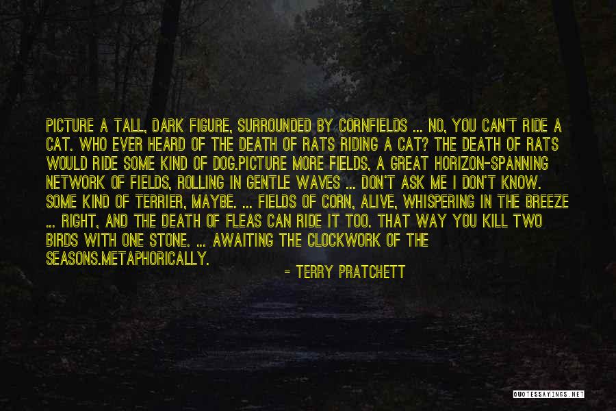 Great Cat Quotes By Terry Pratchett Great Cat Quotes By Terry Pratchett
