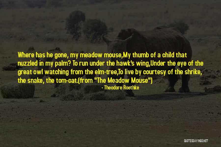 Great Cat Quotes By Theodore Roethke Great Cat Quotes By Theodore Roethke