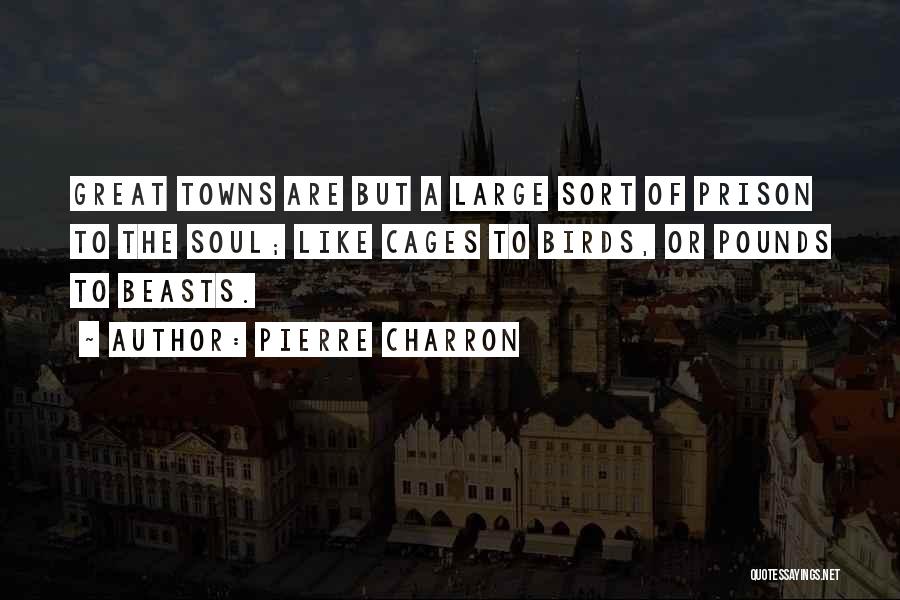 Great Cities Quotes By Pierre Charron