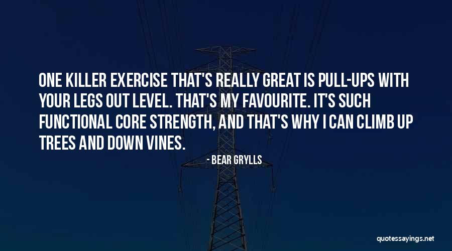 Great Climb Quotes By Bear Grylls