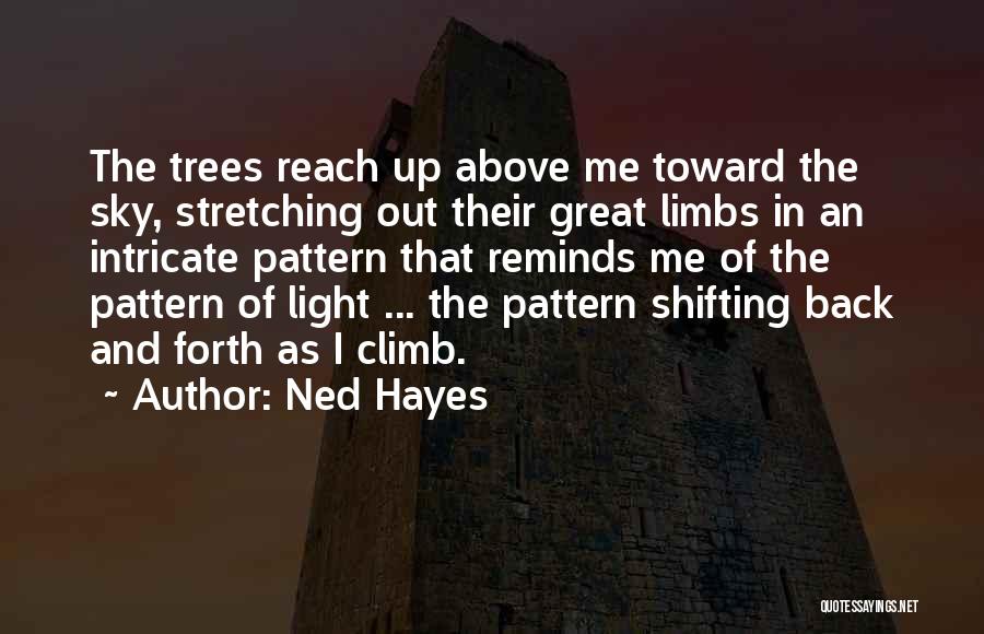 Great Climb Quotes By Ned Hayes