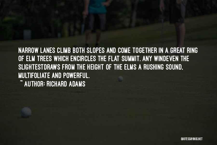 Great Climb Quotes By Richard Adams