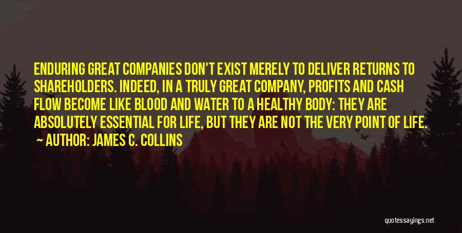 Great Companies Quotes By James C. Collins