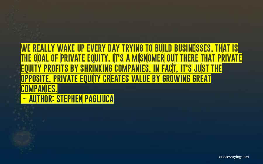 Great Companies Quotes By Stephen Pagliuca