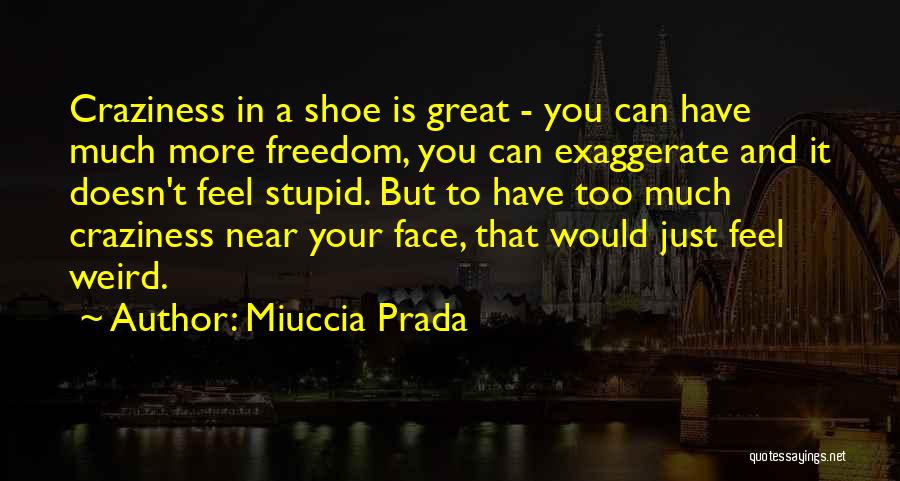Great Craziness Quotes By Miuccia Prada