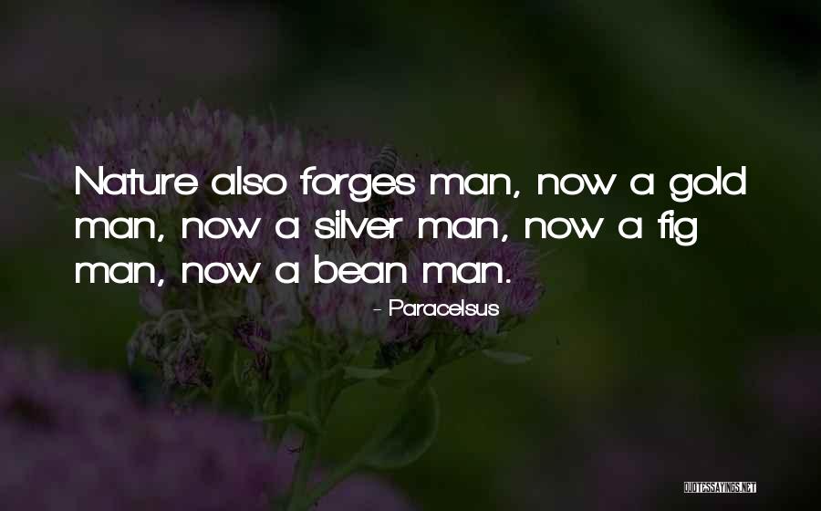 Great Danny Blanchflower Quotes By Paracelsus Great Danny Blanchflower Quotes By Paracelsus
