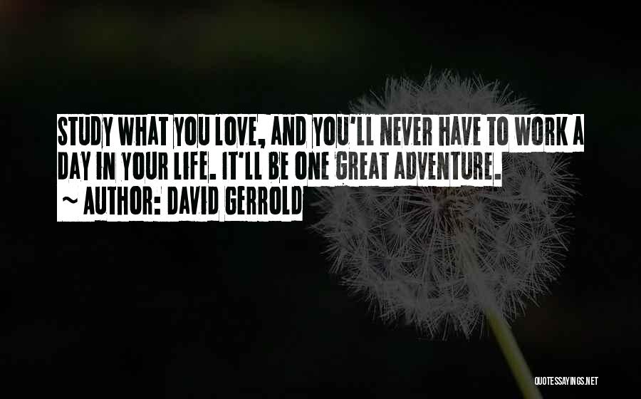 Great Day Work Quotes By David Gerrold