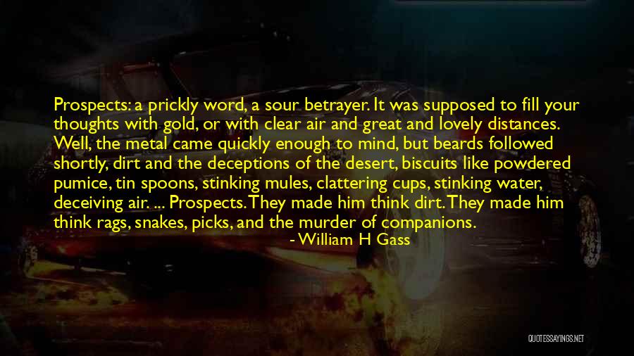 Great Deceptions Quotes By William H Gass Great Deceptions Quotes By William H Gass