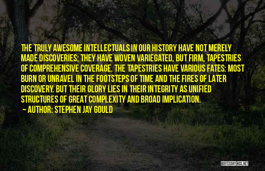 Great Discoveries Quotes By Stephen Jay Gould