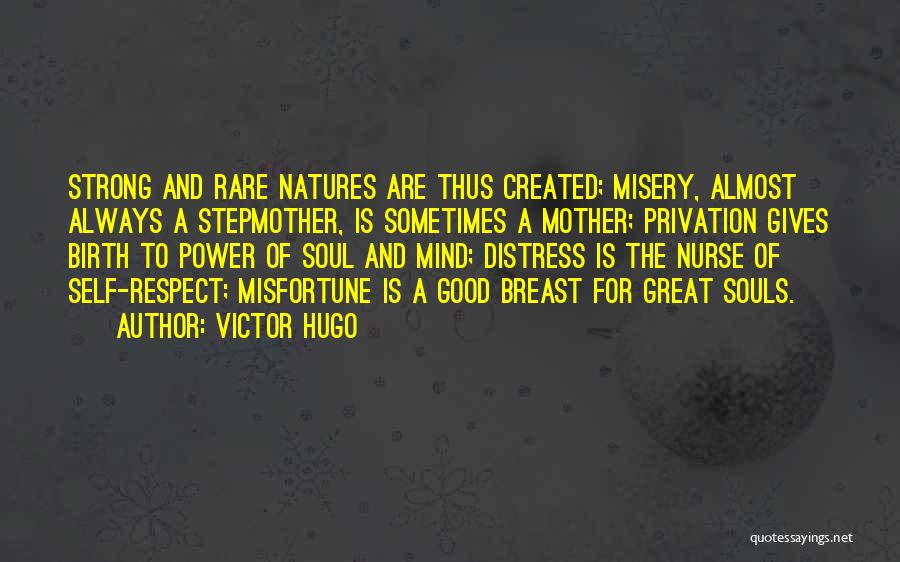 Great Distress Quotes By Victor Hugo