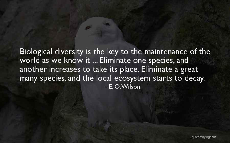 Great Diversity Quotes By E. O. Wilson Great Diversity Quotes By E. O. Wilson
