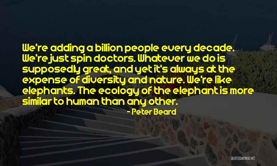 Great Diversity Quotes By Peter Beard Great Diversity Quotes By Peter Beard