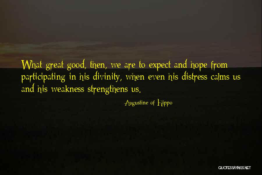 Great Divinity Quotes By Augustine Of Hippo